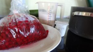 Hjemmelavet ribs sorbet